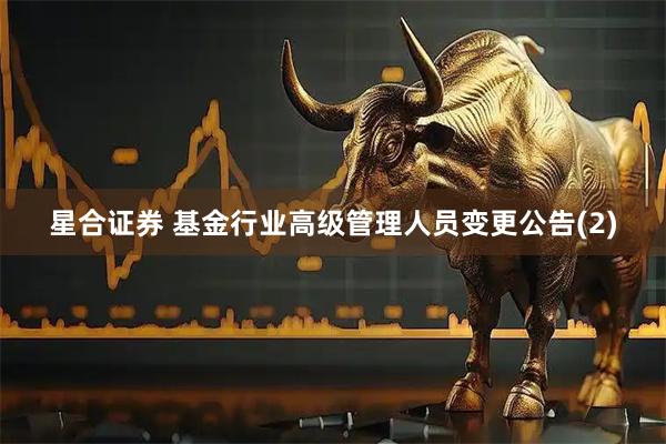 星合证券 基金行业高级管理人员变更公告(2)