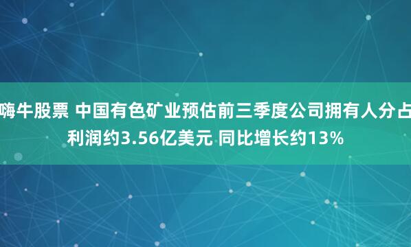 嗨牛股票 中国有色矿业预估前三季度公司拥有人分占利润约3.56亿美元 同比增长约13%
