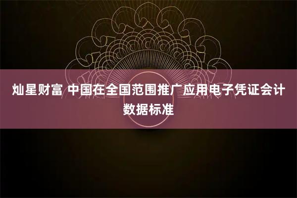 灿星财富 中国在全国范围推广应用电子凭证会计数据标准