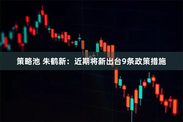 策略池 朱鹤新:近期将新出台9条政策措施