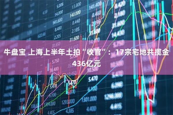 牛盘宝 上海上半年土拍“收官”：17宗宅地共揽金436亿元